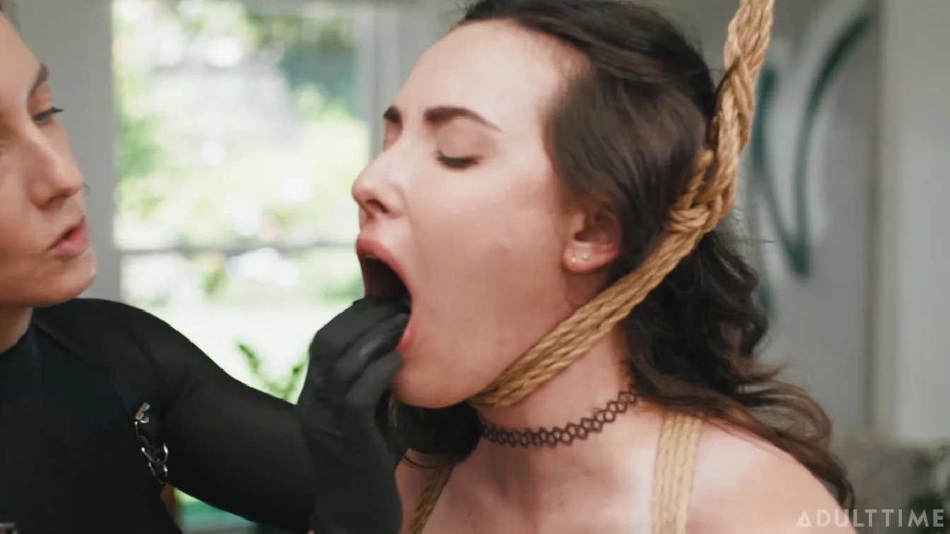 Casey Calvert Ashley Lane Elise Graves Lez Be Bound XXX